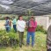 Impulsa Ayuntamiento de San Cristóbal fortalecimiento productivo con entrega de plantas frutales
