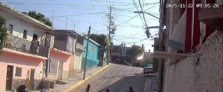 Pide abogada penas reales y severas por casos de maltrato animal