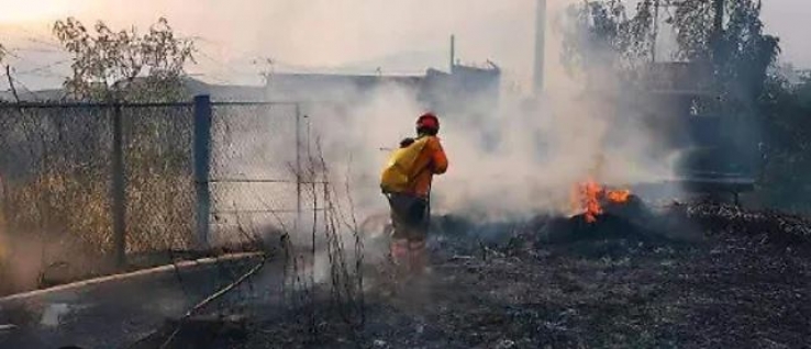 Castigar&aacute;n a irresponsables que no limpien sus predios en Tuxtla