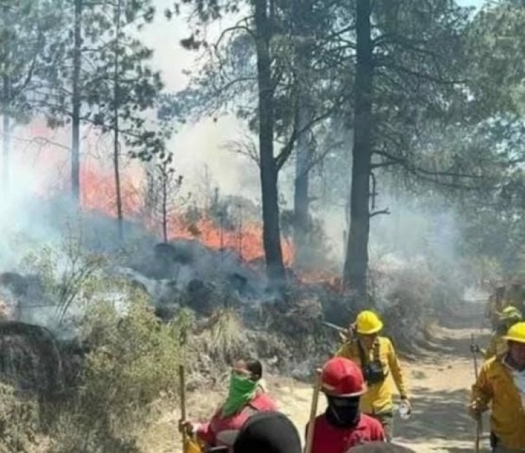 Incendios forestales en Chiapas hay seis focos activos