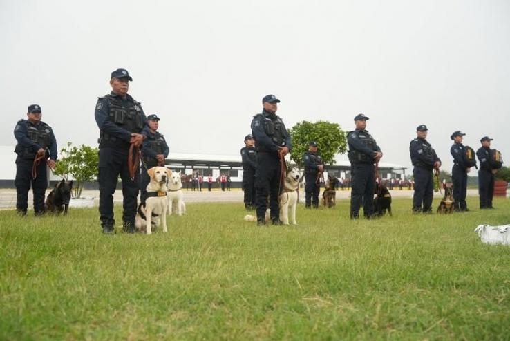 Supervisan la capacitaci&oacute;n de unidades equinas y caninas de la Guardia Estatal