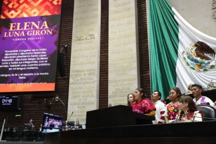 Hablante de tzeltal dijo en la C&aacute;mara de Diputados que hablar su lengua es seguir caminando con dignidad hacia el futuro