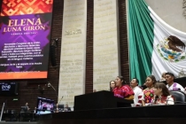 Hablante de tzeltal dijo en la C&aacute;mara de Diputados que hablar su lengua es seguir caminando con dignidad hacia el futuro