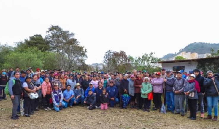 La Conanp llev&oacute; a cabo jornadas de erradicaci&oacute;n de Carrizo Africano en el APFF Humedales de Monta&ntilde;a La Kisst y Mar&iacute;a Eugenia
